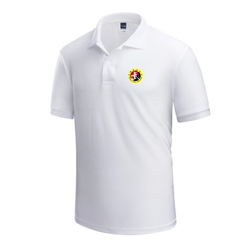 中國武術協會短袖裁判學校服練功服T恤教練員工作服翻領POLO衫夏