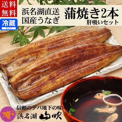 土用の丑 うなぎ蒲焼き 肝吸い付き詰め合わせ 送料無料