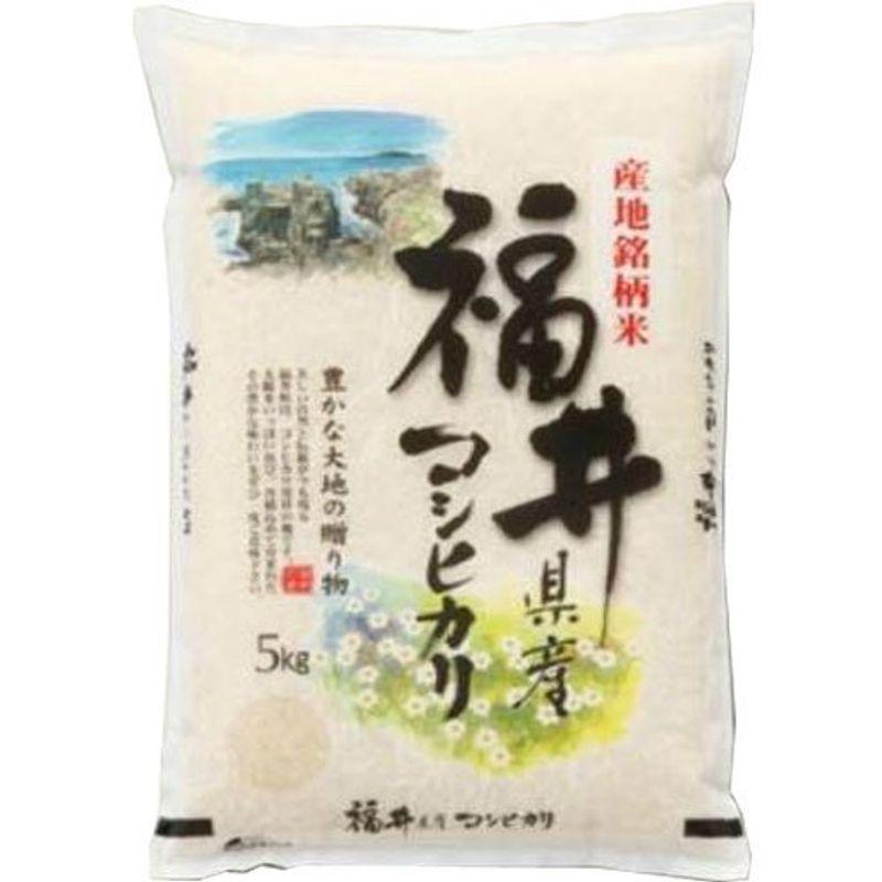 令和4年産 福井産 コシヒカリ 5kg 出荷日精米 (３分づき（精米後約4.85kg）)