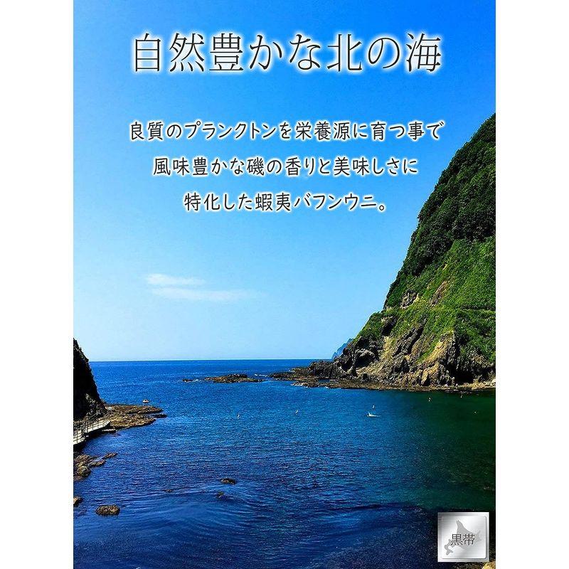 黒帯 塩水うに ウニむき身 塩水仕立て (ばふんうに 100g 特上)