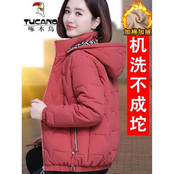 啄木鳥羽絨棉服女加絨加厚短款2024年新款棉衣冬季外套小個子棉襖