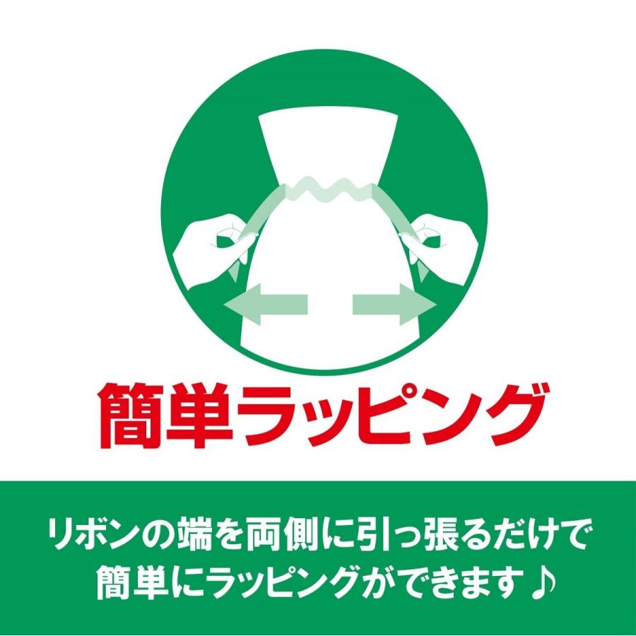 （お徳用）不織布リボン付巾着袋（底マチ付）ミントS 　170幅×280高（180）100枚入