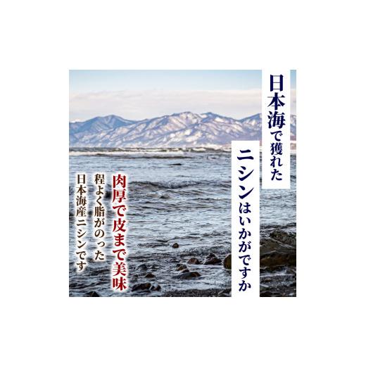 ふるさと納税 北海道 石狩市 10-122 一夜干しニシン 12枚入り