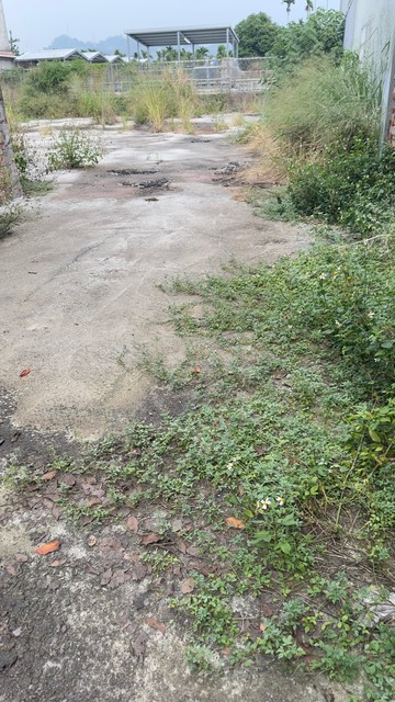 大降（200萬）鳥嘴潭乙建方正大坪數建地｜南投縣草屯鎮土城段