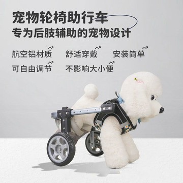 🔥優選🔥狗狗康複輪椅老年犬殘疾車癱瘓康複助行器貓咪義肢輕便寵物輔助車