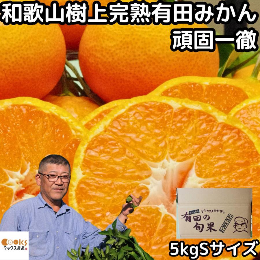 みかん 有田 小玉 甘い 美味しい 糖度 和歌山 生勇農園 樹上完熟 早生 5kg sサイズ お歳暮 贈答用 ギフト