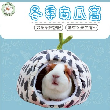 噗啾草坊🐹 冬季南瓜窩🎃寵物窩 南瓜窩 現貨供應 天竺鼠 兔子 蜜袋鼯 刺蝟 等小寵物適用