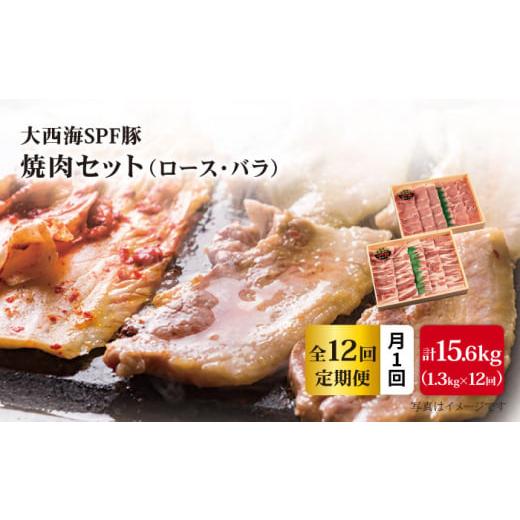 ふるさと納税 長崎県 西海市 大西海SPF豚 背ロース＆バラ（焼肉用）計15.6kg＜大西海ファーム＞ [CEK102]