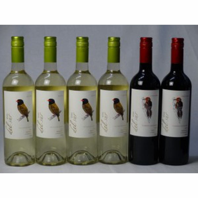 最安値挑戦 チリ白赤ワイン6本セット デル スール カベルネ ソーヴィニヨン フルボディ2本 デルスール ソーヴィニヨン ブラン 辛口4本 750ml 6本 再入荷1番人気 Lovemesomegadgets Com