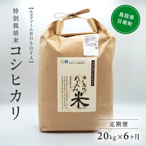 令和5年産 海と天地のめぐみ米（コシヒカリ） 白米20kg