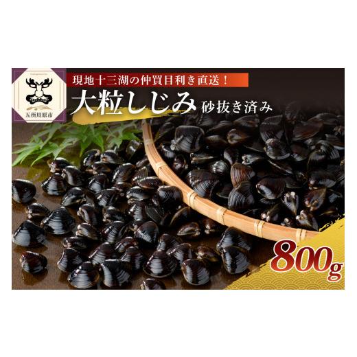 ふるさと納税 青森県 五所川原市 津軽十三湖産 大粒しじみ冷凍800g（冷凍・砂抜き済）