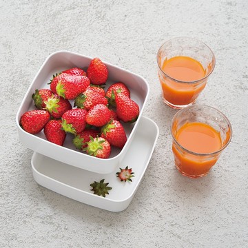 日本 tak 雙層水果堅果小食盤 Fruit-nut (三色)