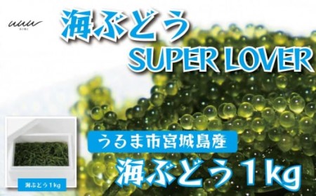 海ぶどうSuperLover　大容量1kgパック