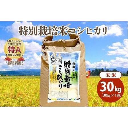 ふるさと納税 令和5年産|新潟上越三和産|特別栽培米コシヒカリ(従来種