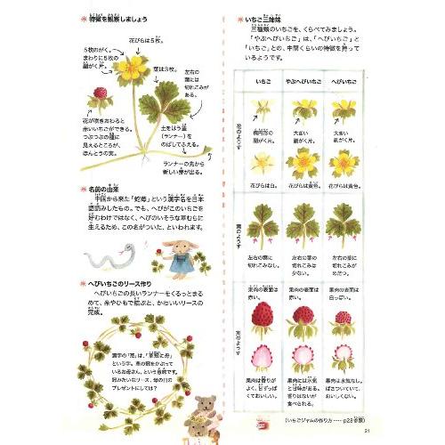 野の花えほん 春と夏の花