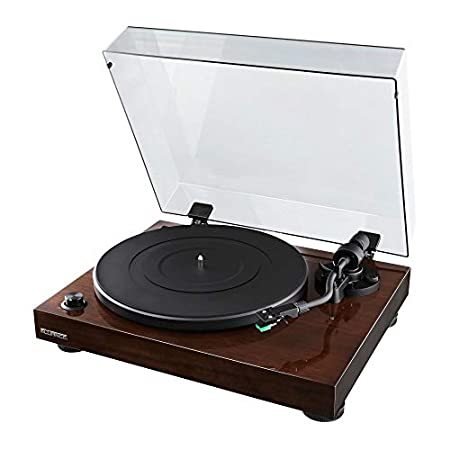 Fluance RT81 Elite High Fidelity Vinyl Turntable Record Player with Audio T