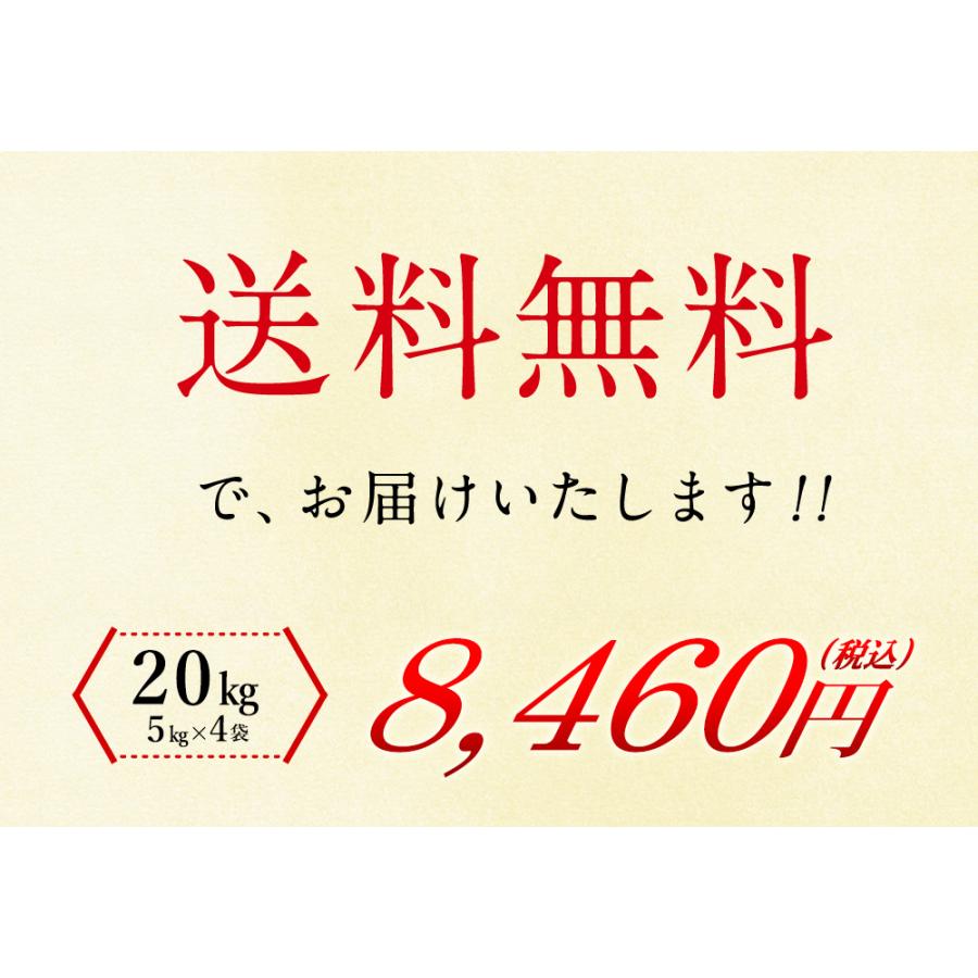 新米 北海道産 ゆめぴりか 20kg（5kg×4袋）  送料無料 令和5年度産 お米 ゆめぴりか 20kgブランド米（北海道・沖縄別途送料）（配達日・時間指定は不可）