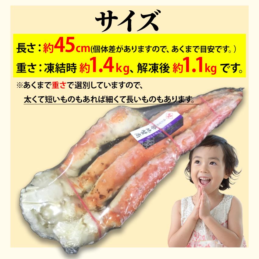 送料無料 超特大 ボイルタラバガニ 7Lサイズ 約1.4kg 1肩 (正味重量約1.1kg) シュリンク かに カニ 蟹 足 安 脚 シュリンク 蟹の王様