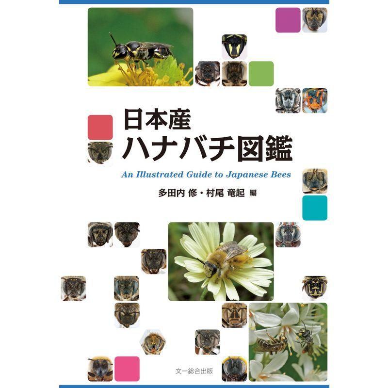 日本産ハナバチ図鑑