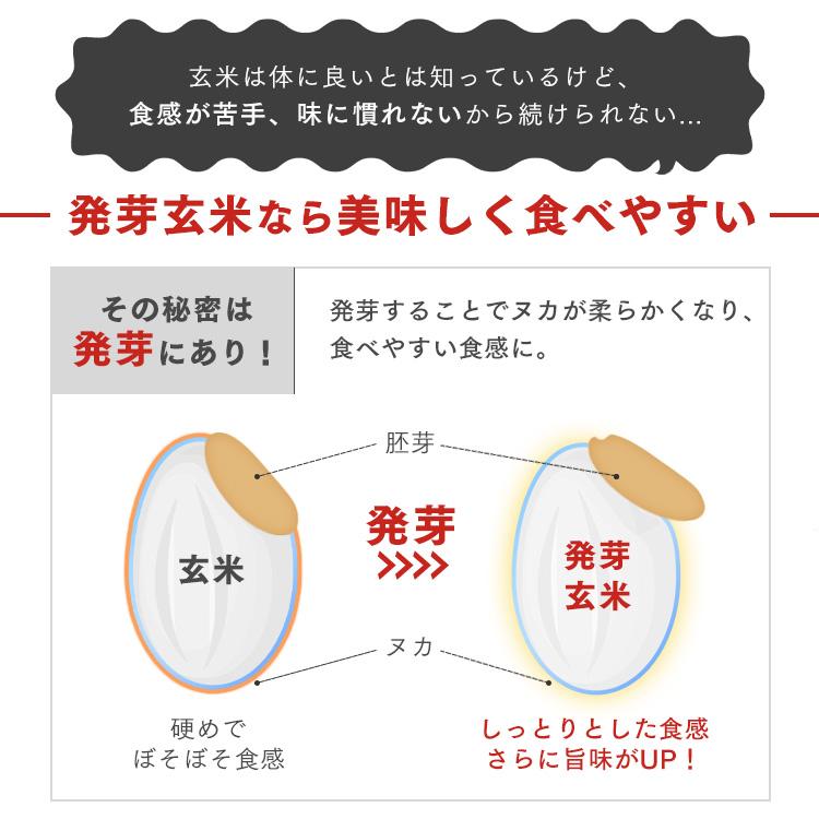 アイリスフーズ 低温製法米のおいしいごはん 発芽玄米ごはん 150g x 3食