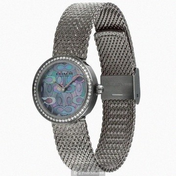 COACH手錶，編號CH00251，28mm槍灰色圓形精鋼錶殼，變色中二針顯示， 貝母錶面，鐵灰色米蘭錶帶款_廠商直送