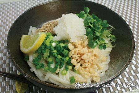 ふっくらモチモチ神埼生うどん 20袋入 (H014114)