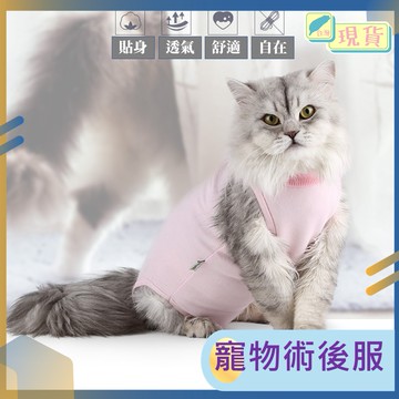 寵物術後服 絕育服 防舔衣 魔鬼氈黏貼式 貓咪結紮衣服 貓咪術後衣服 寵物防舔衣 手術服 貓咪防舔 現貨