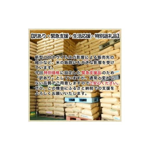 ふるさと納税 京都府 亀岡市 訳あり 定期便 新米 5kg 12ヶ月 京都丹波米 こしひかり 白米 12回定期便 5kg×12回 計60kg ※精米したてをお届け《契約栽培米 緊…