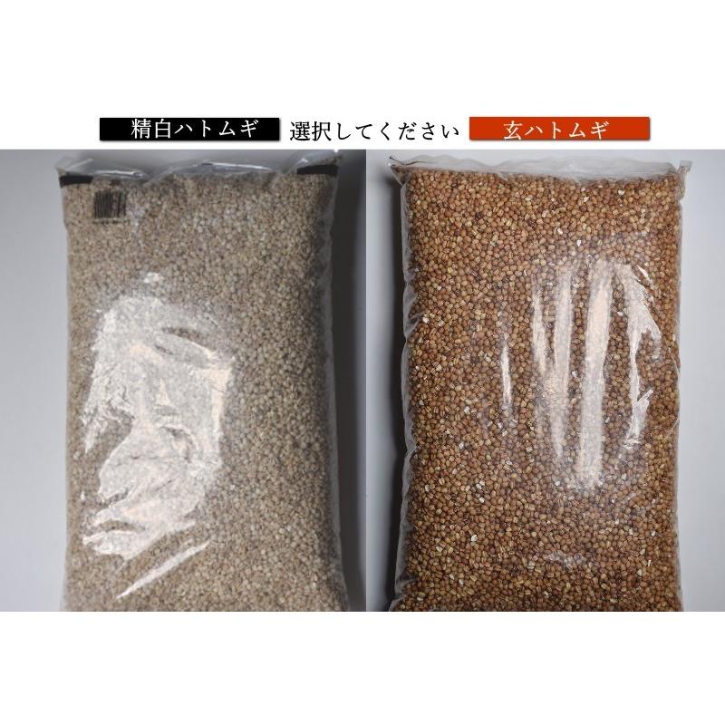 ハトムギ  精白 ハトムギ 玄麦 玄ハト 送料無料 はとむぎ 青森県産 5kg 業務用 はと麦 ハトムギ 精白はとむぎ 雑穀米 健康 美容 ヨクイニン 利水作用 むくみ