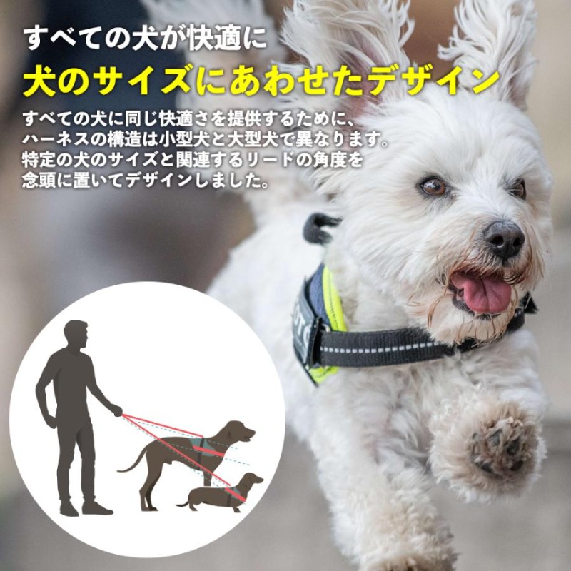 大型犬 販売 ハーネス ユリウス