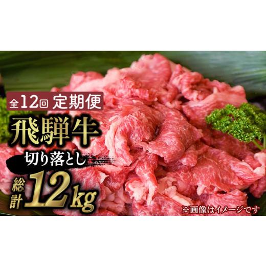 ふるさと納税 岐阜県 多治見市  切り落とし 1kg × 12回 計 12kg )≪多治見市≫ 和牛 ブランド牛 国産 [TAZ017]