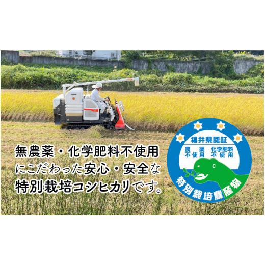 ふるさと納税 福井県 永平寺町 令和5年産 新米 無農薬・化学肥料不使用 永平寺町寺本の米 特別栽培コシヒカリ 玄米 5kg [B-027009]