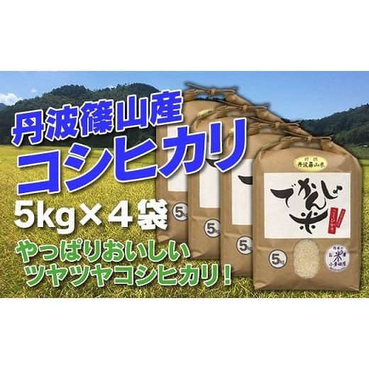 ふるさと納税 兵庫県 丹波篠山市 お米のおいしさ伝えたい！丹波篠山産コシヒカリ5kg×4