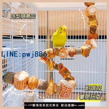 【臺灣公司】鸚鵡啃咬玩具小太陽天然解悶自嗨逗鳥架玄鳳虎皮專用磨牙鳥籠站桿