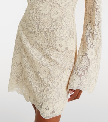 Veronica Beard Teresia embroidered tulle minidress