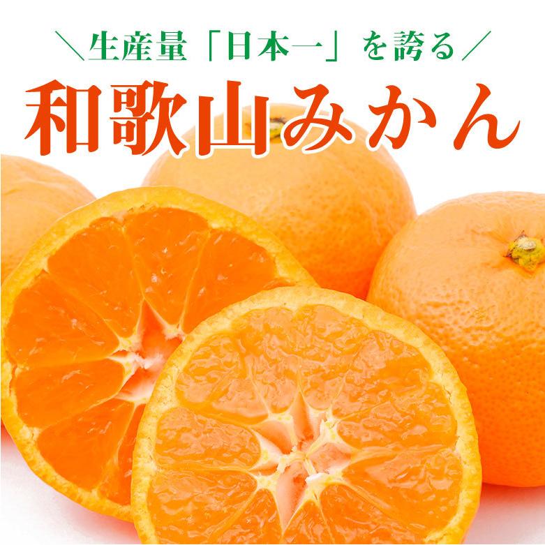 送料無料 キズ有り 訳あり 家庭用 みかん 和歌山県産 和歌山みかん 温州みかん 2Lサイズ以上 サイズ混合 約8kg前後 キズあり 国産  国産みかん