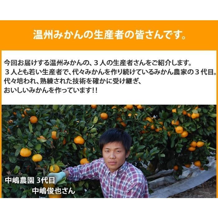 みかん 送料無料 秀品 5kg 絶品の熊本みかん ギフト 贈り物 熊本県産  3セット購入で1セット分おまけ付き 極早生 早生 温州