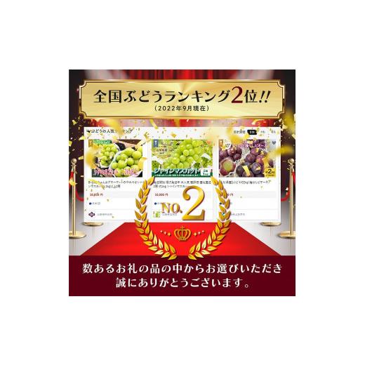 ふるさと納税 山梨県 笛吹市 超朝採れシャインマスカット 2〜3房 約1.1kg 山梨県 笛吹市 ※冷蔵配送 (2024年9月中旬から順次発送予定) …