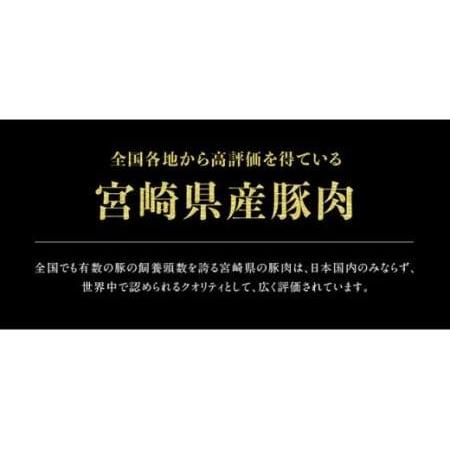 ふるさと納税 ※令和6年2月より順次発送※宮崎県産豚肉ヒレブロック5本 宮崎県川南町