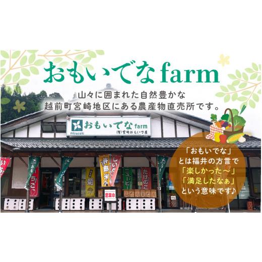 ふるさと納税 福井県 越前町 [e26-a001] 期間限定！季節の野菜・加工品 7〜10種以上 詰合せ「おもいでな野菜セット」【人気 おまかせ 詰め合わせ 季節 旬 新鮮…