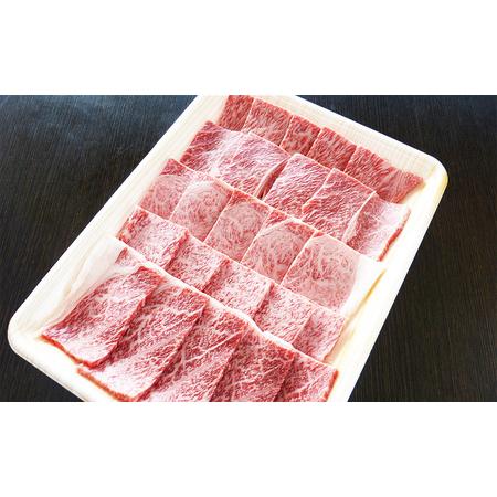 ふるさと納税 牛肉 飛騨牛 焼き肉 セット 赤身 モモ 又は カタ 500ｇ 黒毛和牛 Ａ5 美味しい お肉 牛 肉 和牛 焼肉 BBQ バーベキュー 【岐阜県池.. 岐阜県池田町