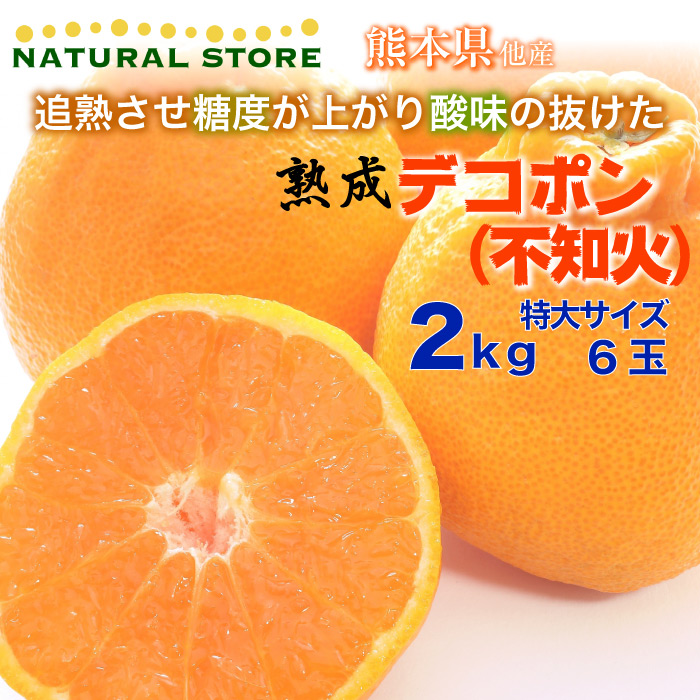 [予約 2024年1月1日必着] 熟成 デコポン 不知火 特大サイズ 約2kg 熊本県産 柑橘 高糖度 みかんの王様 お正月必着指定 お年賀 御年賀 冬ギフト