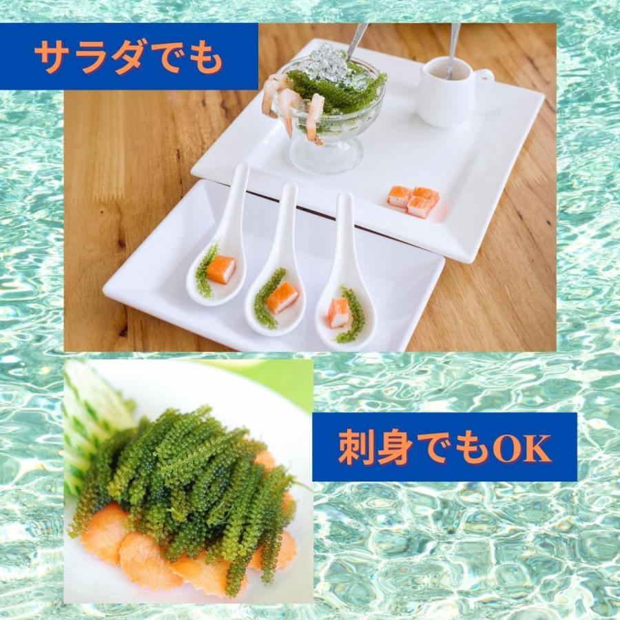 送料無料 海ぶどう 沖縄県産 海ぶどう タレ付き A級品大粒 海洋深層水で育てた ポイント消化 食品 おすすめ