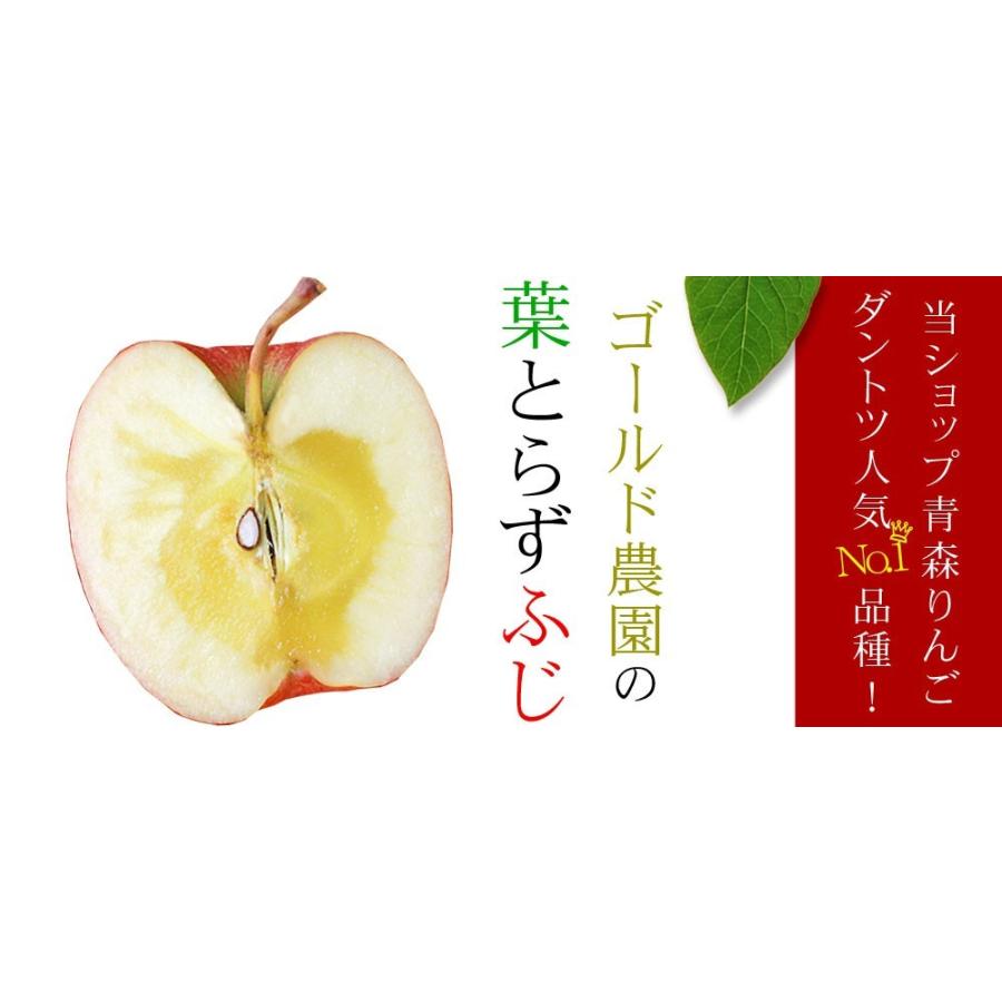 葉っぱの影は甘さのサイン贈答用(8-10玉)青森 送料無料 [※産地直送のため同梱不可]「GOLD」