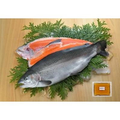 ふるさと納税 海峡サーモン船上活〆2.5kg１本(冷蔵) 青森県むつ市