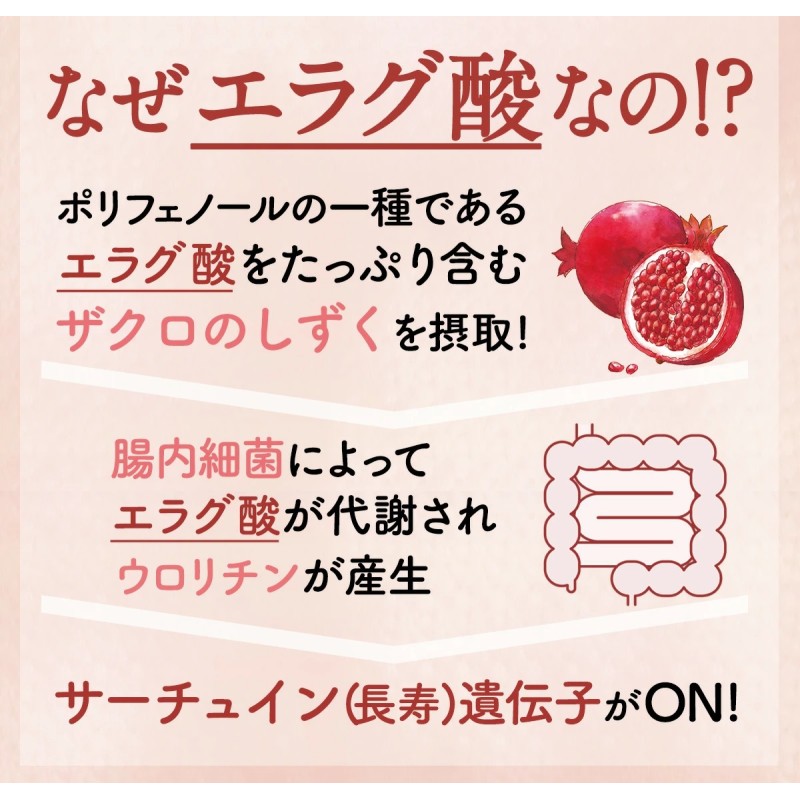 予約)初めての方限定特価 ザクロジュース ザクロのしずく500ml 5〜10倍