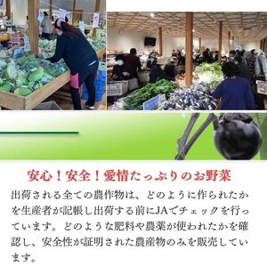 直売所からお届け！旬の野菜セット（8～10品詰め合わせ）新鮮な野菜直送便