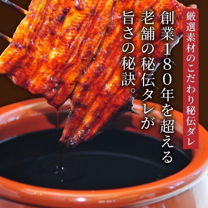 国産うなぎ 蒲焼き 長蒲焼（大）2尾＆カット蒲焼2枚セット お歳暮 鰻 ウナギ プレゼント 贈答 内祝い 贈り物 グルメ 高級 大きめ 送料無料