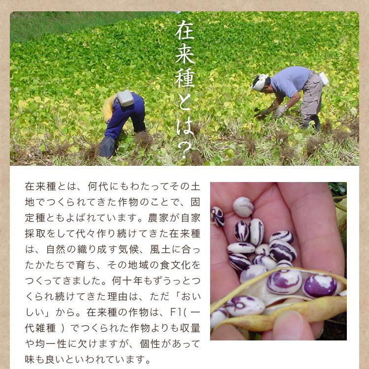 手亡豆 900g 無農薬 北海道産 令和3年産 農薬・化学肥料不使用 白いんげん 小粒