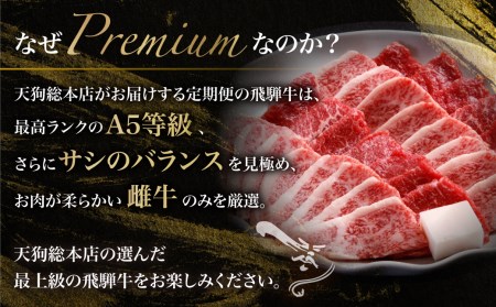 天狗総本店 A5飛騨牛 定期便 全3回 約1.8kg 600g × 3ヶ月 サイコロ ステーキ 食べ比べ すき焼き 焼肉) 食べ比べ A5 岐阜 高山市 飛騨高山 岐阜県 人気 お楽しみ おすすめ TR4460 